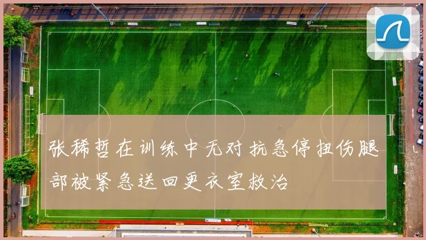 张稀哲在训练中无对抗急停扭伤腿部被紧急送回更衣室救治