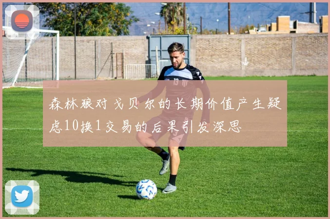 森林狼对戈贝尔的长期价值产生疑虑10换1交易的后果引发深思
